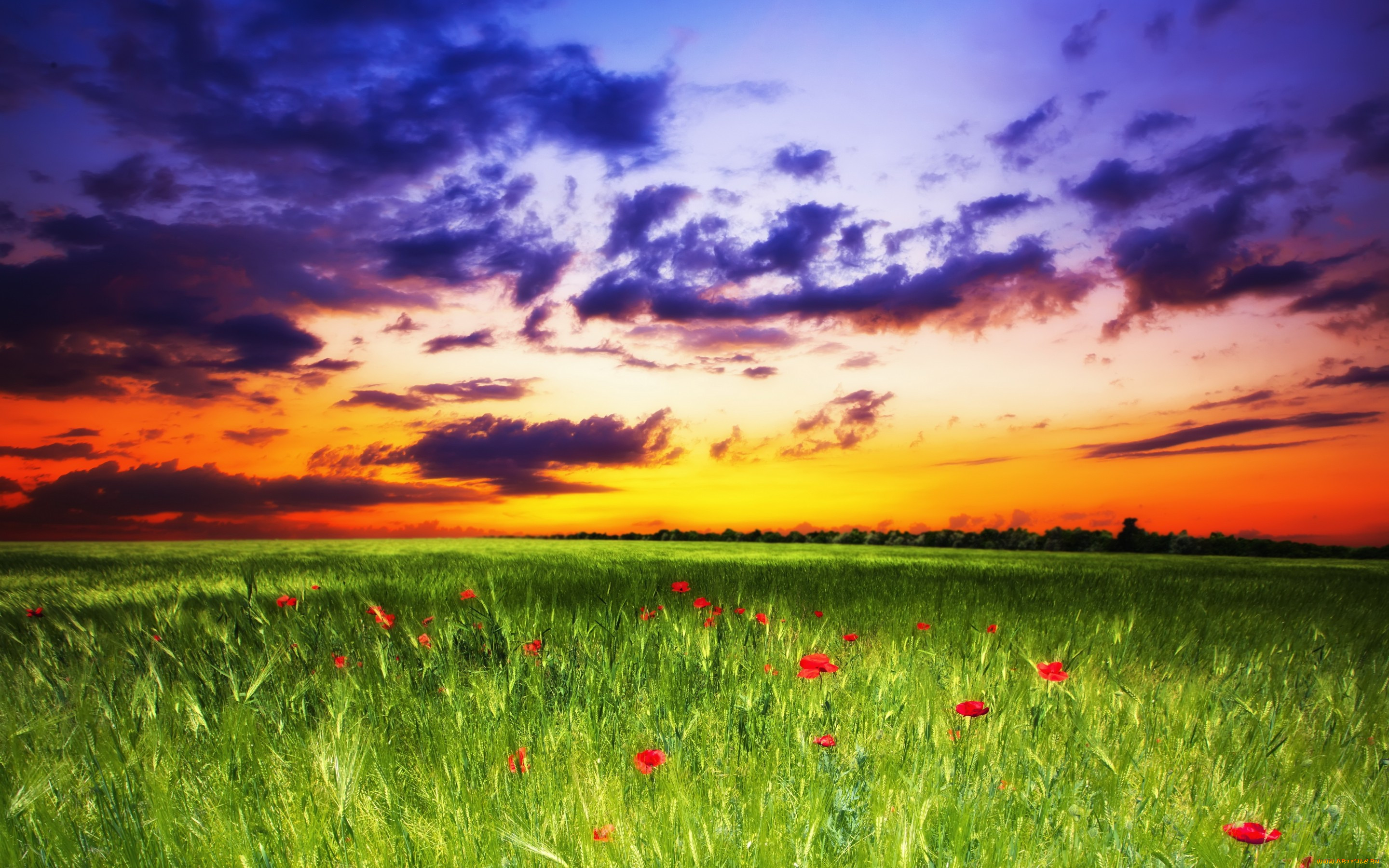 , , , , , , nature, sunset, , , , sky, landscape